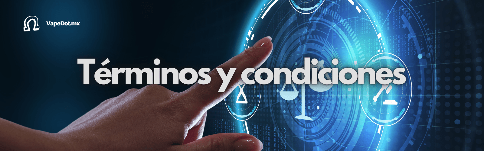 términos y condiciones términos y condiciones
