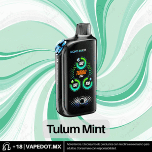 Waka Burst: Tulum Mint +Ice Blast