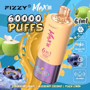 Fizzy Max lll (6 en 1): Strawberry Grape + Blueberry Coconut + Peach Lemon 60,000 Puff